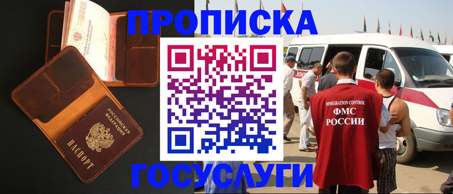 прописка законно в Бердске